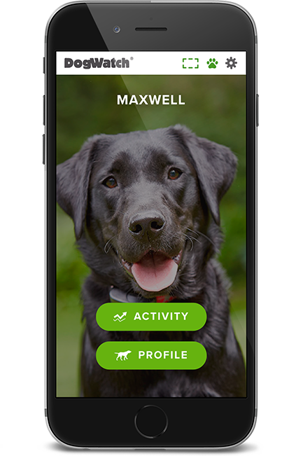 DogWatch of North Alabama, Huntsville, Alabama | SmartFence WebApp Image