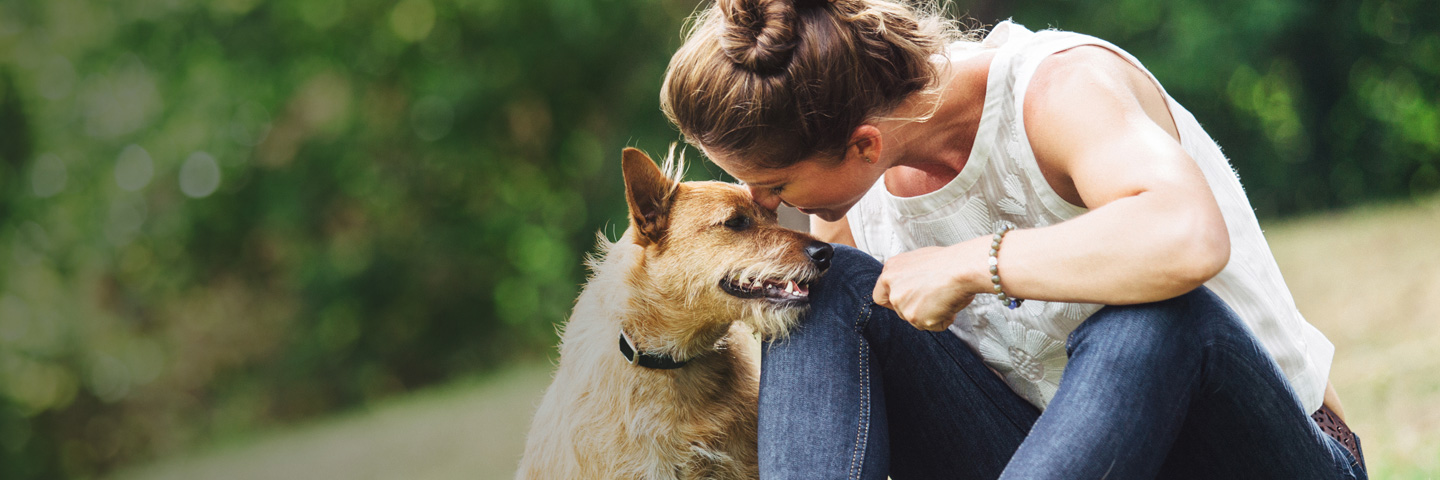 DogWatch of North Alabama, Huntsville, Alabama | BarkCollar No-Bark Trainer Slider Image